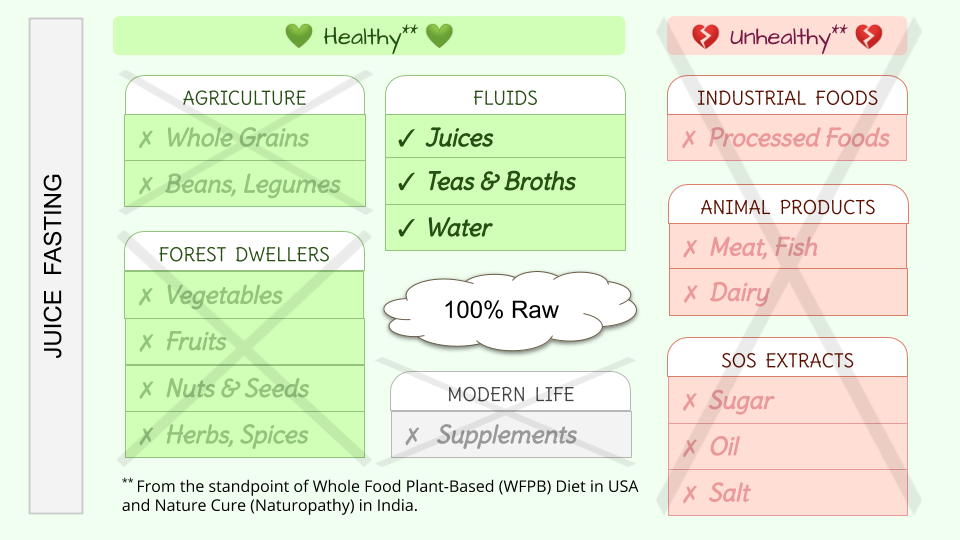 Fat Sick And Nearly Dead Juice Fast Recipes Dandk Organizer